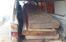 Vụ 'Chủ tịch xã bắt gỗ lậu về biếu cán bộ': 80 lóng gỗ về vườn Phó chủ tịch huyện