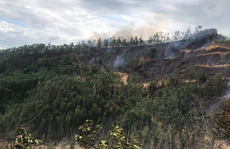 Người đàn ông ở Quảng Nam chết thương tâm khi chữa cháy rừng