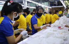 Lưu ý quan trọng khi làm thủ tục nhận tiền hỗ trợ bảo hiểm thất nghiệp theo Nghị quyết 116