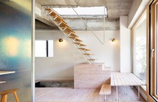 Căn nhà dành riêng cầu thang cho cây xanh