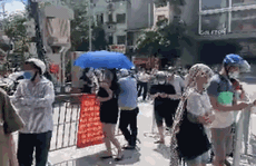 CLIP: Hàng trăm người đội nắng, xếp hàng chờ hàng giờ để được mua bánh trung thu