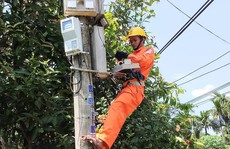 PC Quảng Ngãi: 8 năm thực hiện hiệu quả theo Nghị định 134