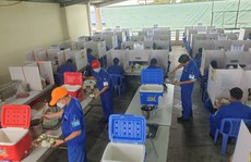 Chăm lo bữa ăn của công nhân '3 tại chỗ'