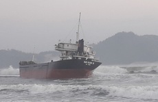 Bị tàu hàng đâm, 2 ngư dân trên tàu cá Bình Định rơi xuống biển mất tích