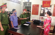 Bắt giam nữ doanh nhân Ngô Thị Điều trong vụ mua - bán sỉ 262 lô đất ở Phú Yên