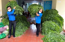 300 hộ gia đình ở TP HCM nhận thức quà quê từ tỉnh biên giới
