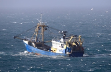 Pháp-Anh lún sâu căng thẳng, nguy cơ xung đột tàu cá trên biển