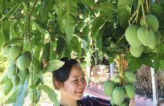 Khu vườn toàn rau trái Việt trên đất Mỹ