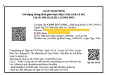 Người dân Cà Mau ngồi nhà bấm điện thoại nhận giấy đi đường