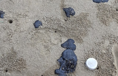 Hơn 20 km bờ biển Quảng Trị xuất hiện dầu vón cục dạt vào, khối lượng hơn chục tấn