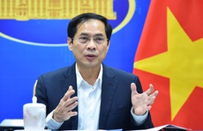 Bộ trưởng Bùi Thanh Sơn tiếp Đặc phái viên của Tổng Thư ký Liên Hiệp Quốc về Myanmar