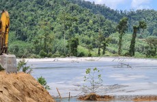 Đề nghị ngăn chặn Công ty vàng Phước Sơn tận thu 50.000 tấn xái quặng