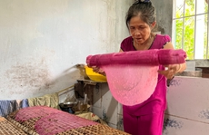 Độc đáo bánh tráng thanh long ở Vĩnh Long