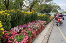 Hoa tươi tăng giá