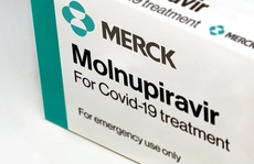 Thuốc Molnupiravir: 4 nhà sản xuất được xét cấp số đăng ký