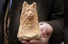 Bí ẩn tượng đầu chó 2.000 tuổi chôn dưới mặt đường: lối vào 'thế giới người chết'