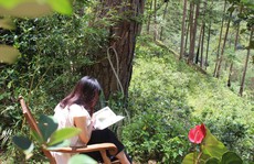 Thêm hiểu biết, thêm hạnh phúc
