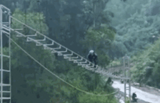 CLIP: Ớn lạnh cảnh người dân Quảng Nam bò qua 'cầu khỉ' vượt nước xiết