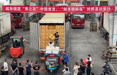 Xuất khẩu rau quả bỏ trống nhiều thị trường