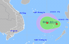 Áp thấp xuất hiện trên Biển Đông, cảnh báo mưa tới 600 mm ở miền Trung và Tây Nguyên