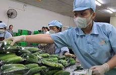 Chung tay nâng chất thực phẩm Việt Nam