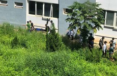 Điều tra nguyên nhân người đàn ông rơi từ tầng 7 bệnh viện xuống đất tử vong