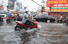 TP HCM: Triều cường “tấn công”, giao thông rối loạn