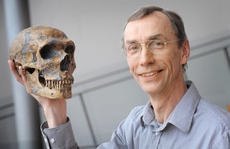 Nobel Y học 2022 vinh danh bạn đồng hành của loài người tuyệt chủng Neanderthals