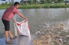 Khó tiếp cận giống cá chất lượng cao