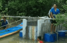 CLIP: Vợ chồng ở Cà Mau thu về hàng trăm triệu đồng từ nghề đặc biệt