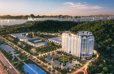 Dấu chân Bắc tiến của N.H.O