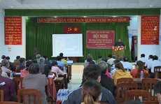 Bình Định kiến nghị tạm dừng chuyển đất rừng làm siêu dự án 56.200 tỉ đồng