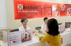 Tấp nập huy động vốn quốc tế