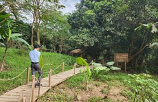 Cận cảnh 'thánh địa' Ozo Park lấn chiếm hơn 3,6ha rừng phòng hộ Phong Nha - Kẻ Bàng