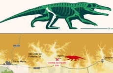 Lộ diện loài quái thú mới: Đầu cá sấu, chân như người, mình khủng long