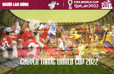 Hấp dẫn chuyên trang World Cup 2022 trên Báo Người Lao Động