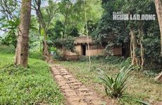 Vụ lấn chiếm hơn 3,6 ha rừng ở Phong Nha - Kẻ Bàng: Doanh nghiệp bất ngờ làm đơn khiếu nại