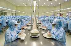 Khánh Hòa: GRDP bất ngờ tăng trưởng 20,5%, cao nhất 10 năm qua