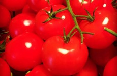 Ăn siêu thực phẩm cà chua, da đẹp, mắt sáng, chống ung thư