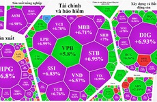 Cổ phiếu hôm nay 16-11: Tiền lớn đổ vào chứng khoán, kéo gần 290 mã tăng trần