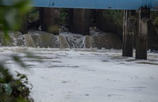 Bà Rịa - Vũng Tàu chỉ đạo xử lý vụ nước sông Dinh nổi bọt trắng, bốc mùi thối