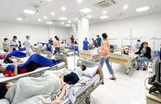 Gần 650 học sinh Trường iSchool Nha Trang ngộ độc: Do vi khuẩn Salmonella