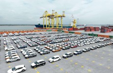 Dàn ôtô điện VinFast xếp hàng tại cảng Hải Phòng chờ lên tàu sang Mỹ