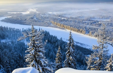 “Thây ma” Siberia hồi sinh sau 50.000 năm đóng băng: Cảnh báo rùng mình