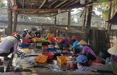Công khai bức hại môi trường