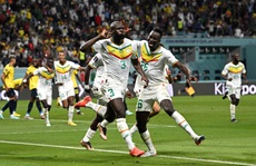Senegal - Ngọn cờ đầu châu Phi