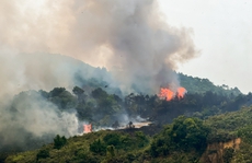 Cháy lớn thiêu rụi nhiều ha rừng