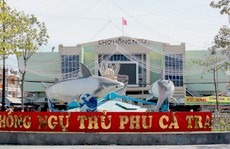 Lễ hội cá tra lần đầu tiên tổ chức tại Đồng Tháp