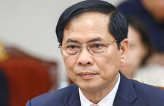 Bộ Chính trị phê bình nghiêm khắc Bộ trưởng Bộ Ngoại giao Bùi Thanh Sơn