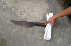 Nghi án cha tâm thần đâm chết 2 con nhỏ